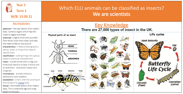 Example of Year 3 Knowledge Organiser