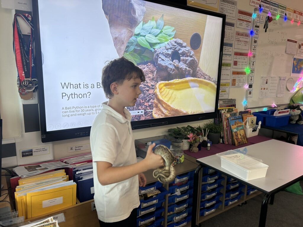 Minerva Primary Academy on the Bristol Parent and the Good News Post websites